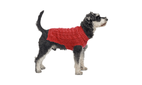 סוודר כותנה חם לכלבים