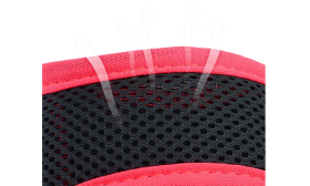 זמם כלב מרופד ומתכוונן