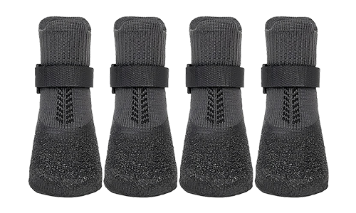 גרבי נעליים ספורטיביות לכלבים