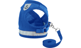 אפוד רתום חתול מחזיר אור עם רצועה תואמת