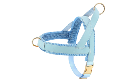 ערכת רתמה לכלב עם קולר ורצועה