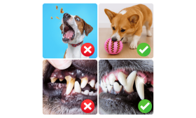 כדור חטיפים אינטראקטיבי לכלב – צעצוע לעיסה מגומי להעשרה ולמשחק