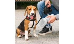 בקבוק מים מתקפל לכלב 550 מ״ל – קערת שתייה ניידת לחיות מחמד מסיליקון בדרגת מזון