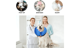 קולר מתנפח לכלבים - קולר התאוששות מתכוונן לחיות מחמד