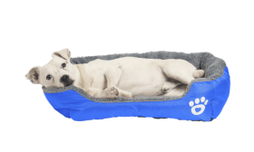 מיטה רכה לכלב