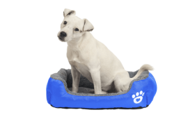 מיטה רכה לכלב