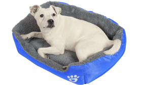 מיטה רכה לכלב