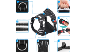 רתמת כלב ללא משיכה