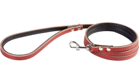 רצועת כלבים מעור